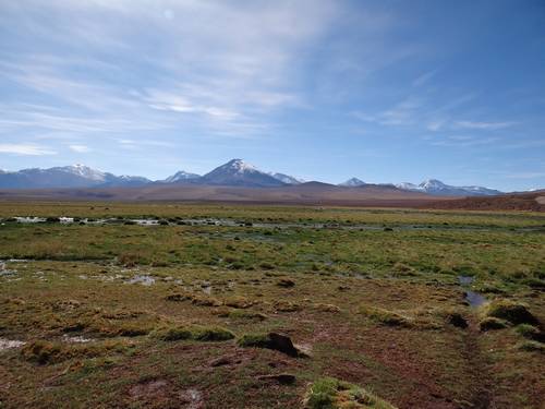 Dsc00601