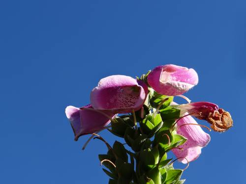 Dsc01159