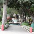 Dsc06361