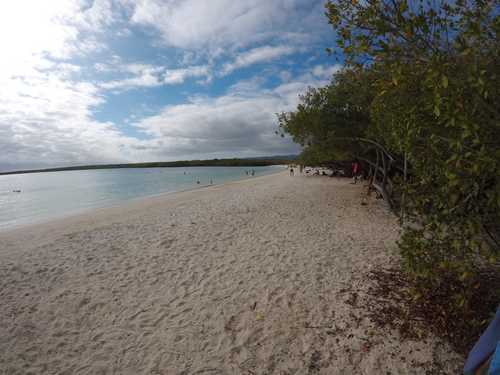 Gopr0596